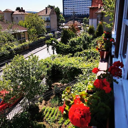 Apartament Hunter Lejlighed Cluj-Napoca Eksteriør billede