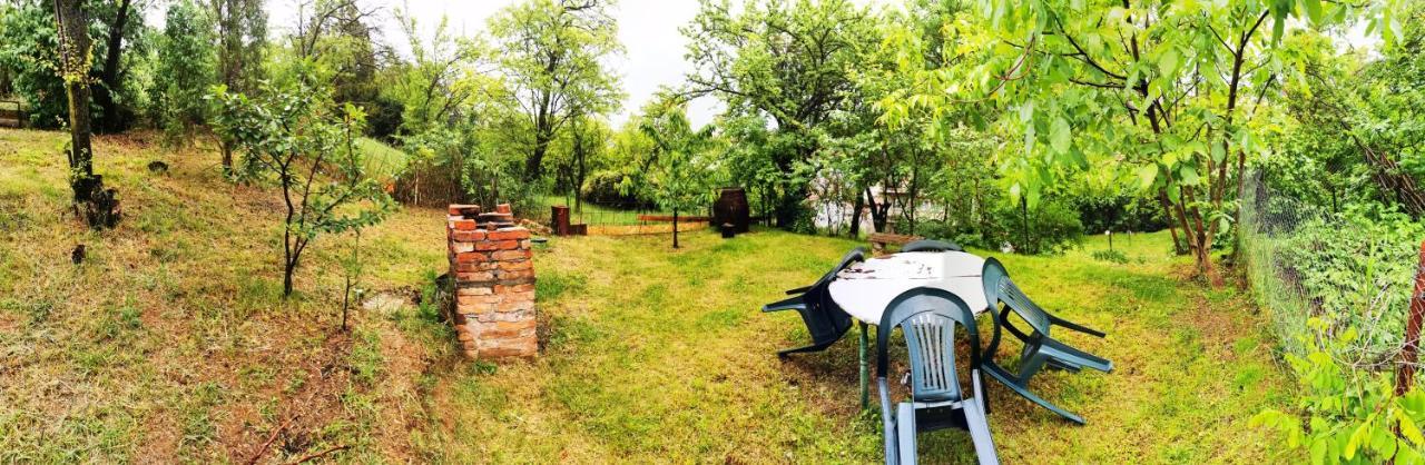 Apartament Hunter Lejlighed Cluj-Napoca Eksteriør billede