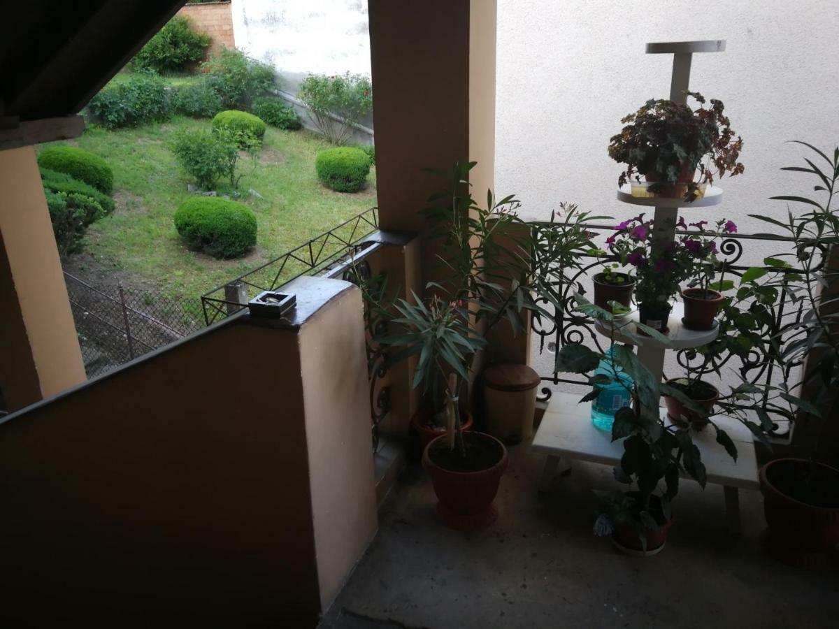 Apartament Hunter Lejlighed Cluj-Napoca Eksteriør billede