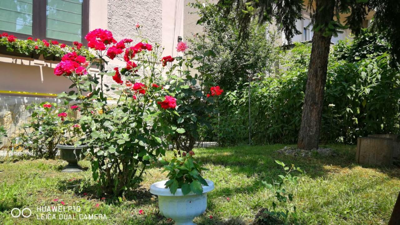 Apartament Hunter Lejlighed Cluj-Napoca Eksteriør billede