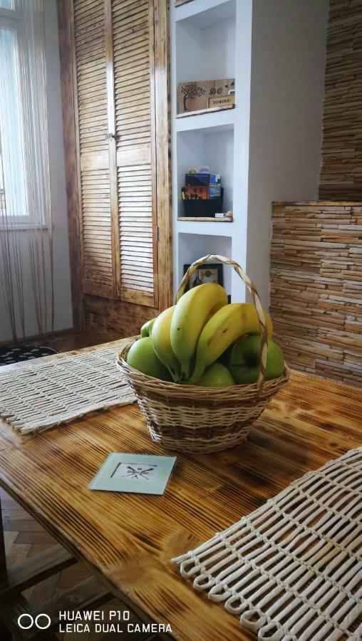 Apartament Hunter Lejlighed Cluj-Napoca Eksteriør billede