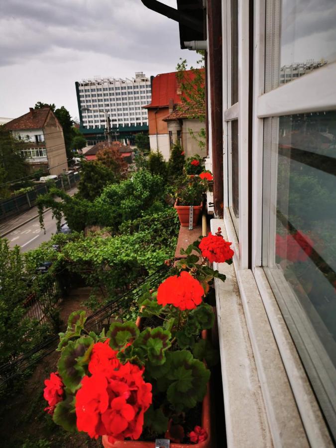 Apartament Hunter Lejlighed Cluj-Napoca Eksteriør billede