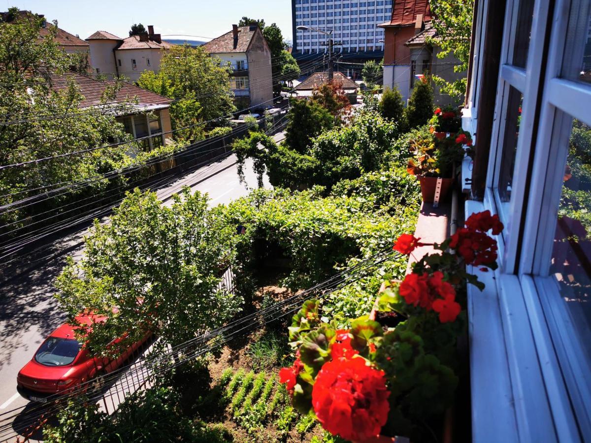 Apartament Hunter Lejlighed Cluj-Napoca Eksteriør billede